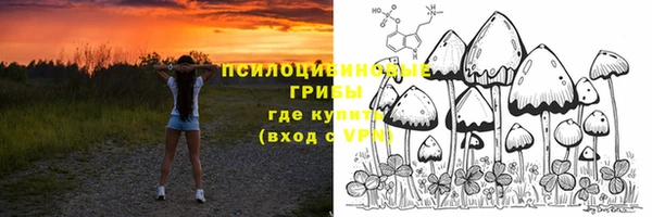 экстази Алексеевка