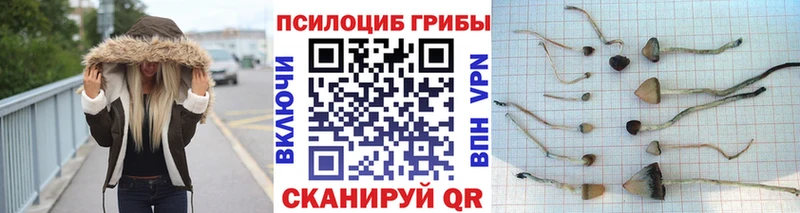 Псилоцибиновые грибы мухоморы  Бакал 